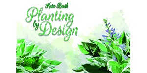 KateBush Logo Final